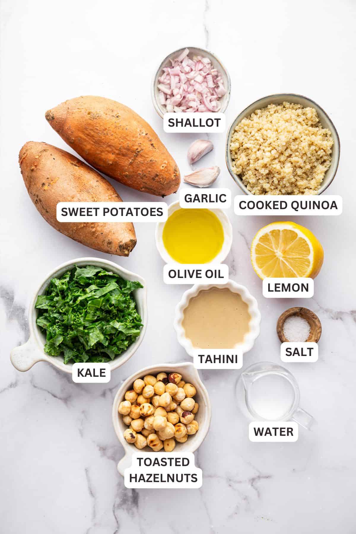These Stuffed Sweet Potatoes are filled with quinoa, kale and hazelnuts, then topped with creamy tahini sauce. A hearty main or side dish! Overhead view of ingredients for stuffed sweet potatoes with labels.