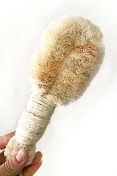 Dry Brushing 101