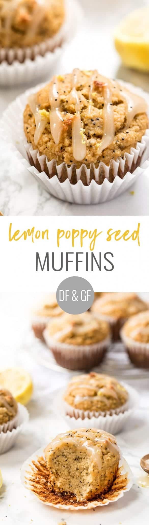 gluten-free lemon poppy seed muffins with lemon coconut butter icing