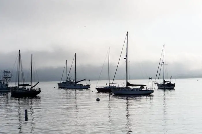 Monterey Harbor in the early Morning