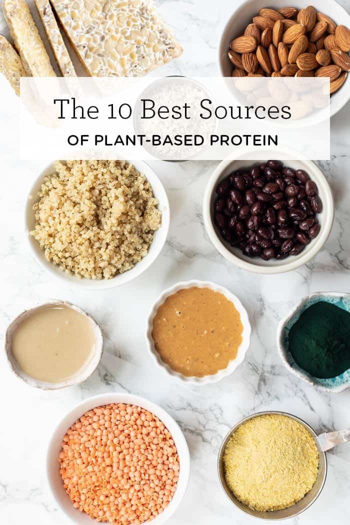 Uregelmæssigheder Jeg spiser morgenmad Prøv det 10 Best Sources of Plant-Based Protein - Simply Quinoa