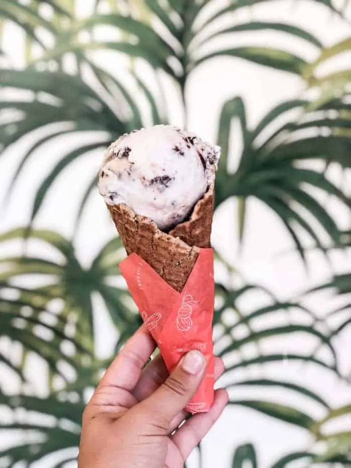 Best Vegan Ice Cream in Seattle