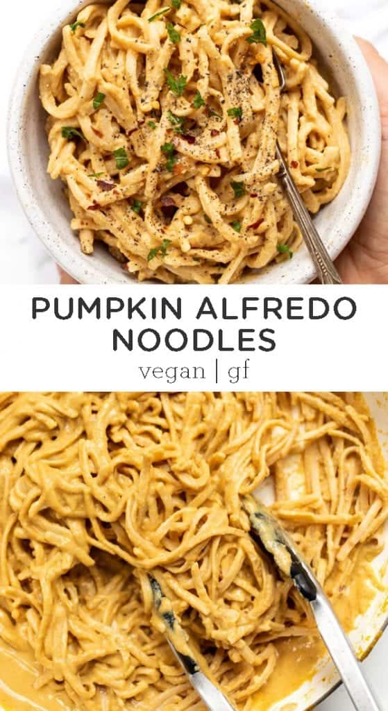 Pumpkin Alfredo Sauce with Noodles