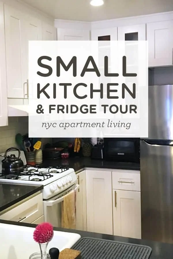 Small Kitchen and Fridge Tour