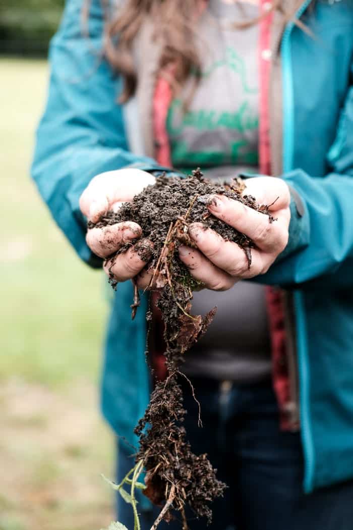 Benefits of Organic Farming on Soil Health