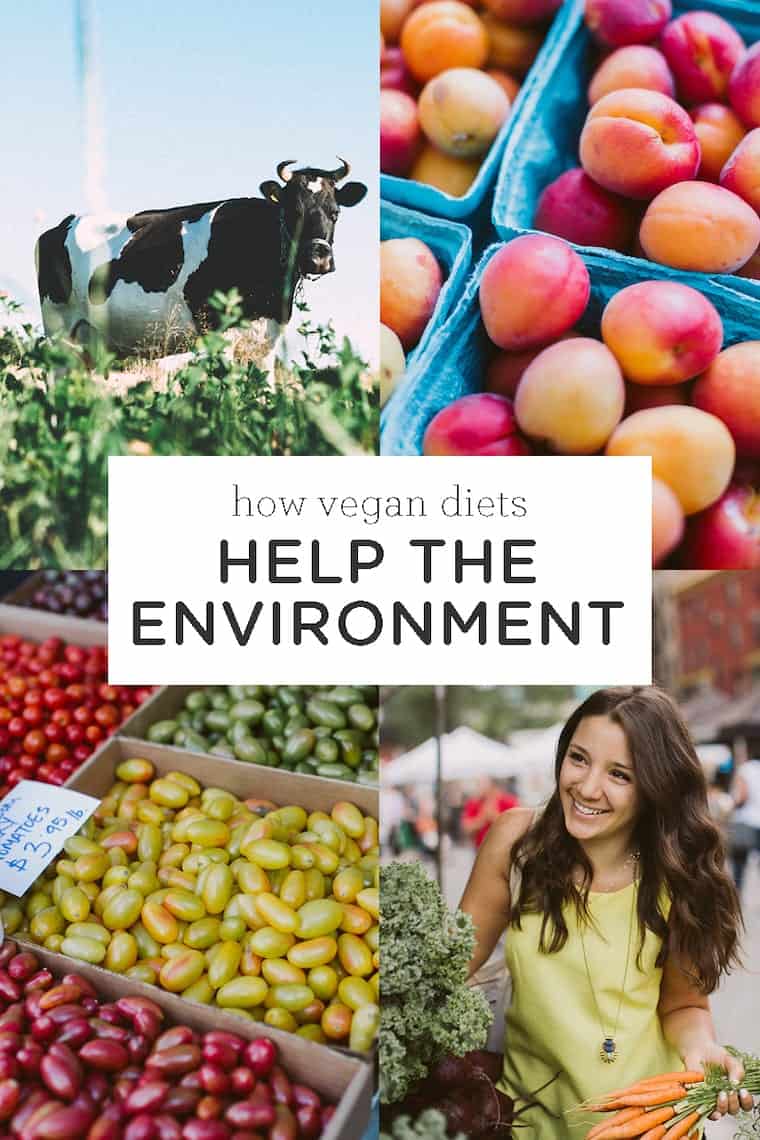 How to Help The Environment by Going Vegan