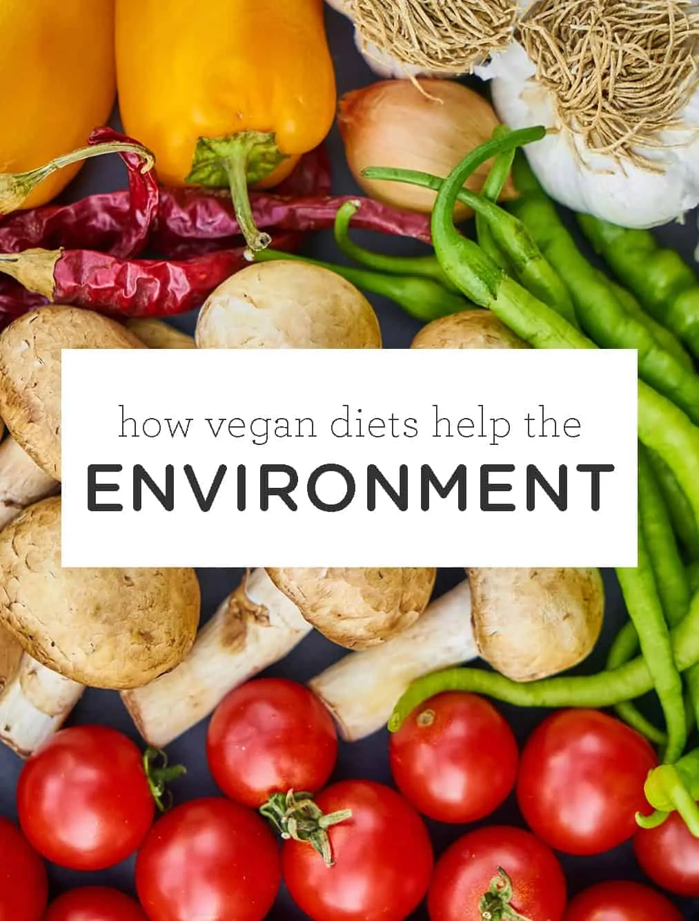How Vegan Diets Help the Environment