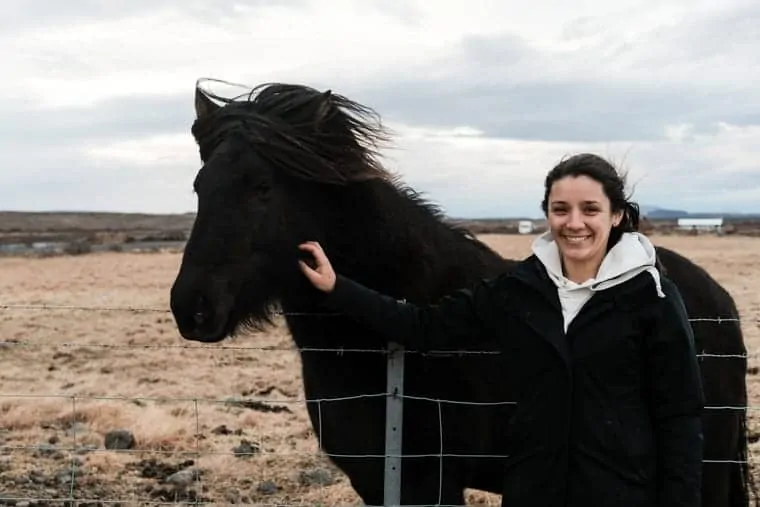 Playing with Icelandic Horses