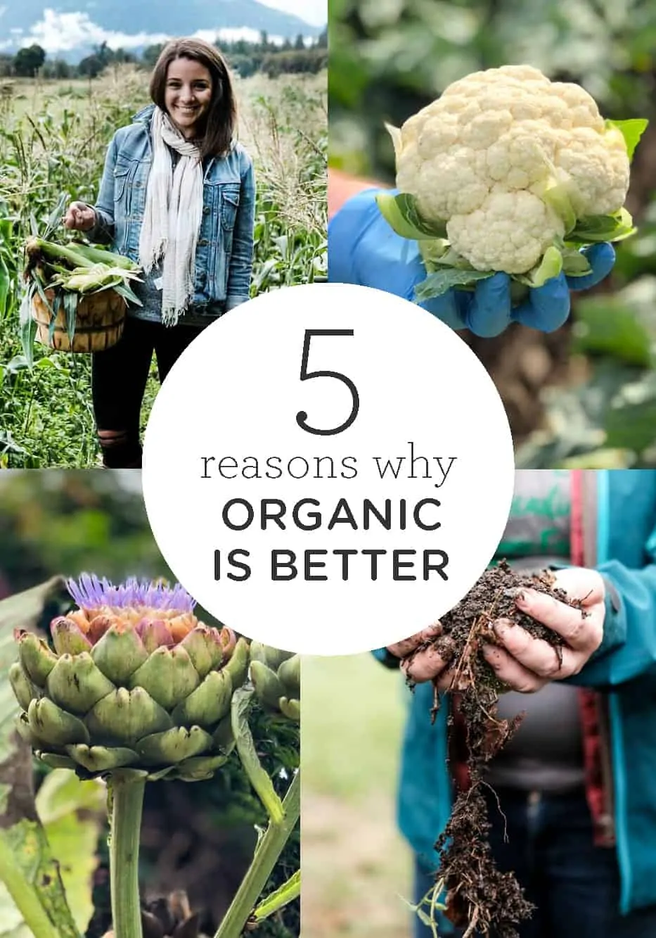 Reasons why Organic is Better