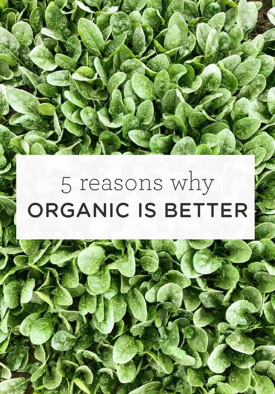 Why Organic is Better