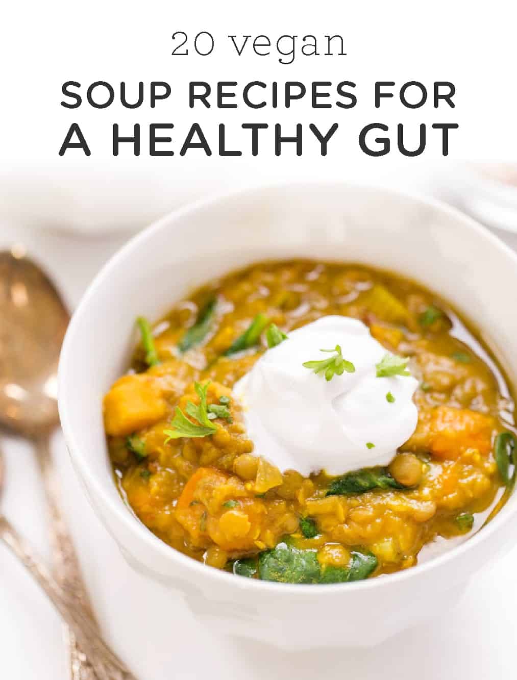 20 Vegan Soup Recipes for A Healthy Gut