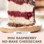 Mini No-Bake Raspberry Cheesecake