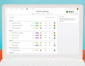 Asana Productivity Tool for Work
