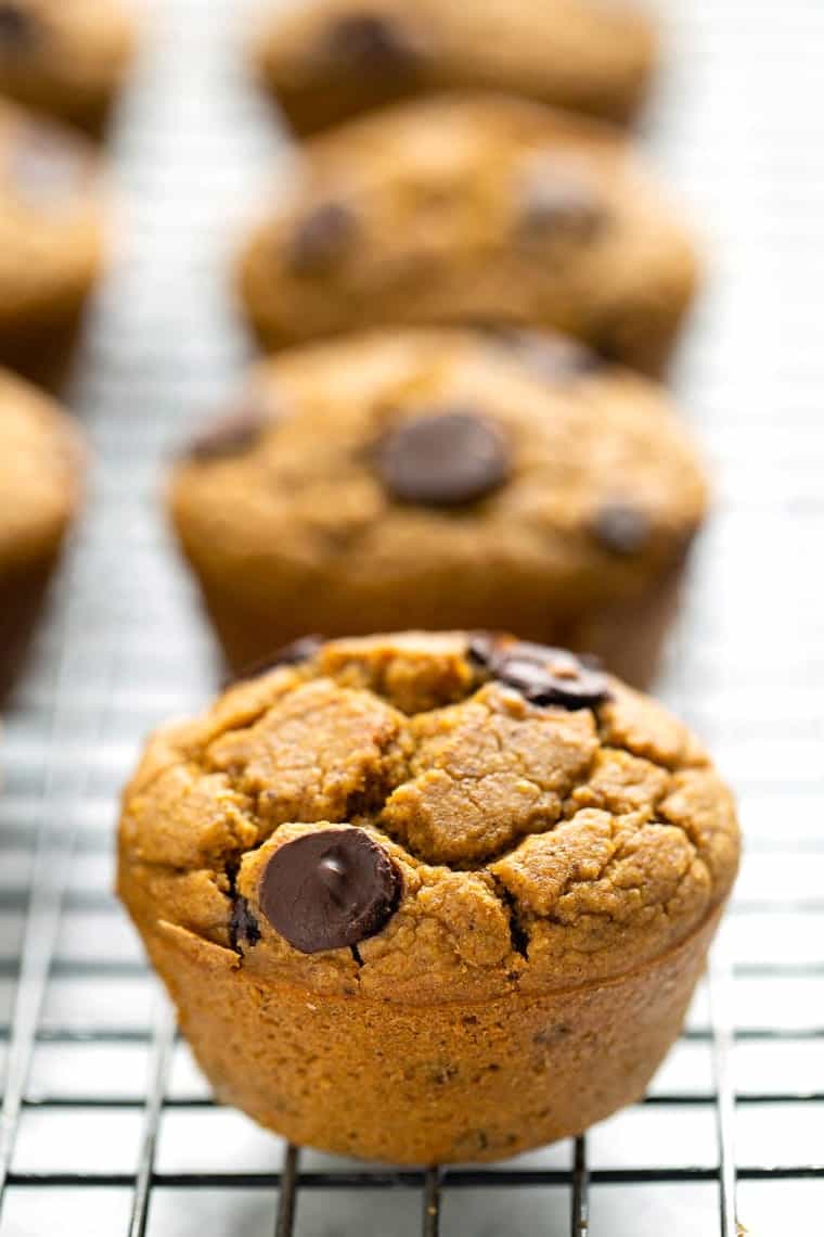 Vegan Pumpkin Chocolate Chip Muffins