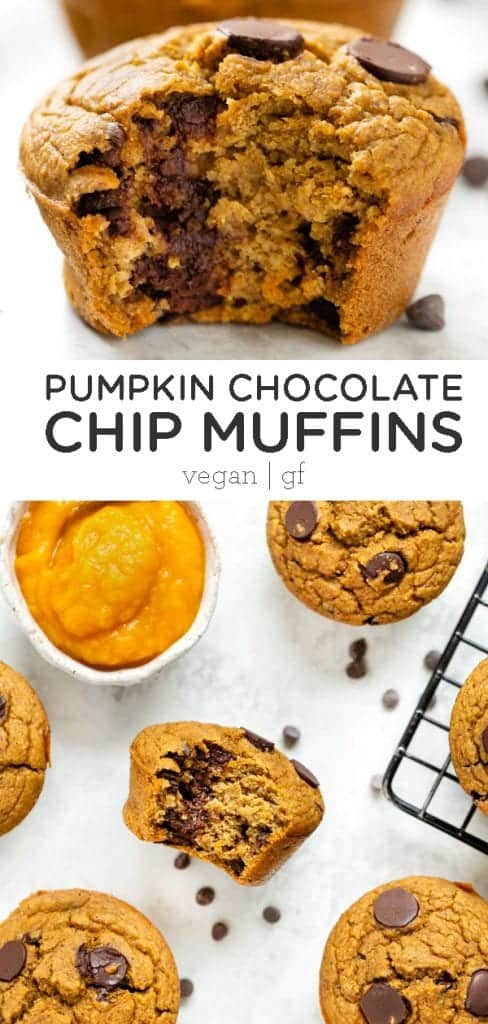 Blender Pumpkin Chocolate Chip Muffin Recipe