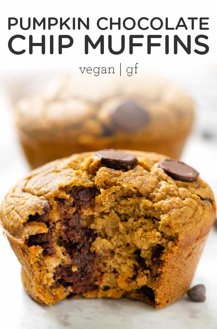 Blender Pumpkin Chocolate Chip Muffin Recipe