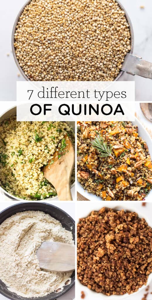 Quinoa 101: 7 Different Types of Quinoa