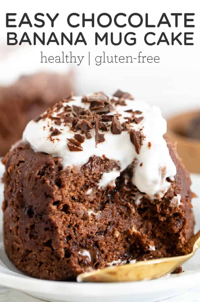 Vegan Quinoa Cake Chocolate