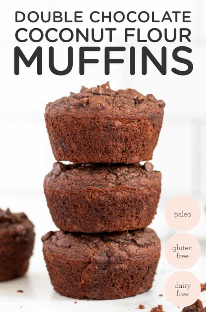 Double Chocolate Coconut Flour Muffins