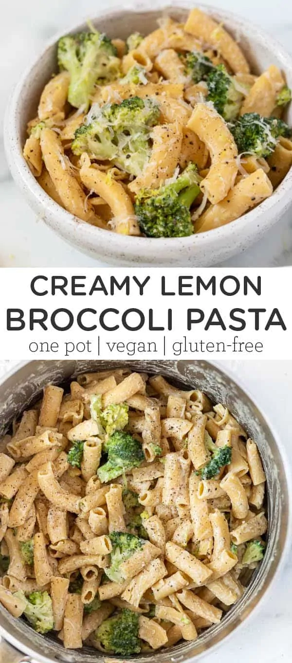 Creamy Lemon Broccoli Pasta