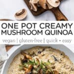 One Pot Creamy Mushroom Quinoa
