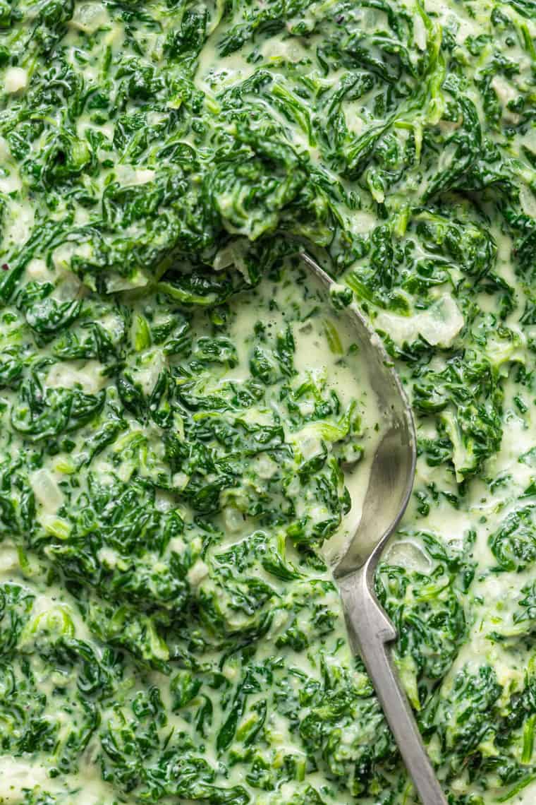 close up on creamy spinach