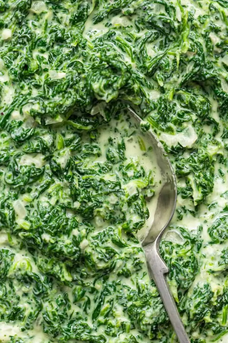 close up on creamy spinach