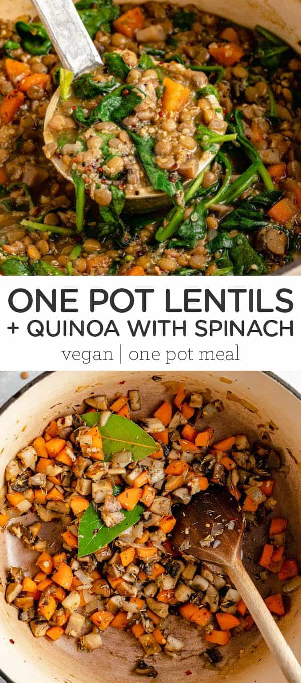 OnePot Lentils and Quinoa {V & GF} Simply Quinoa