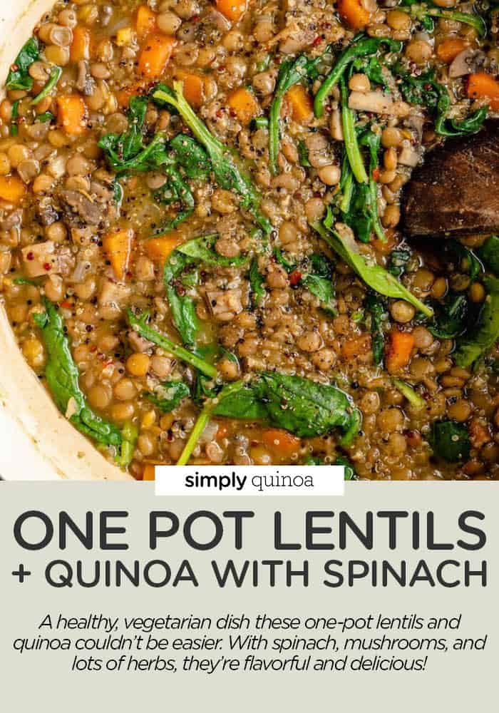 OnePot Lentils and Quinoa {V & GF} Simply Quinoa