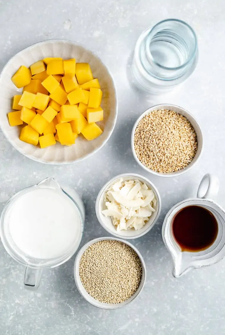overhead of the ingredient for coconut steel cut oats with mango, vegan milk, maple syrup and water