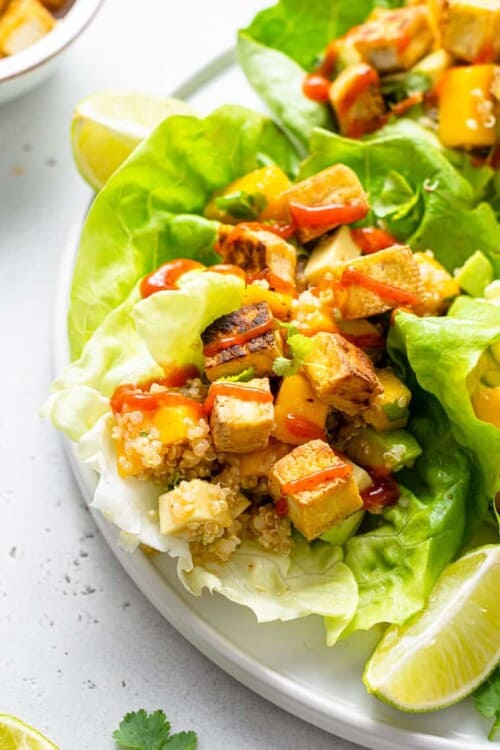 close up on lettuce wraps with mango, tofu and quinoa