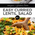 Curried Lentil Salad with Kale and Carrots text overlay collage