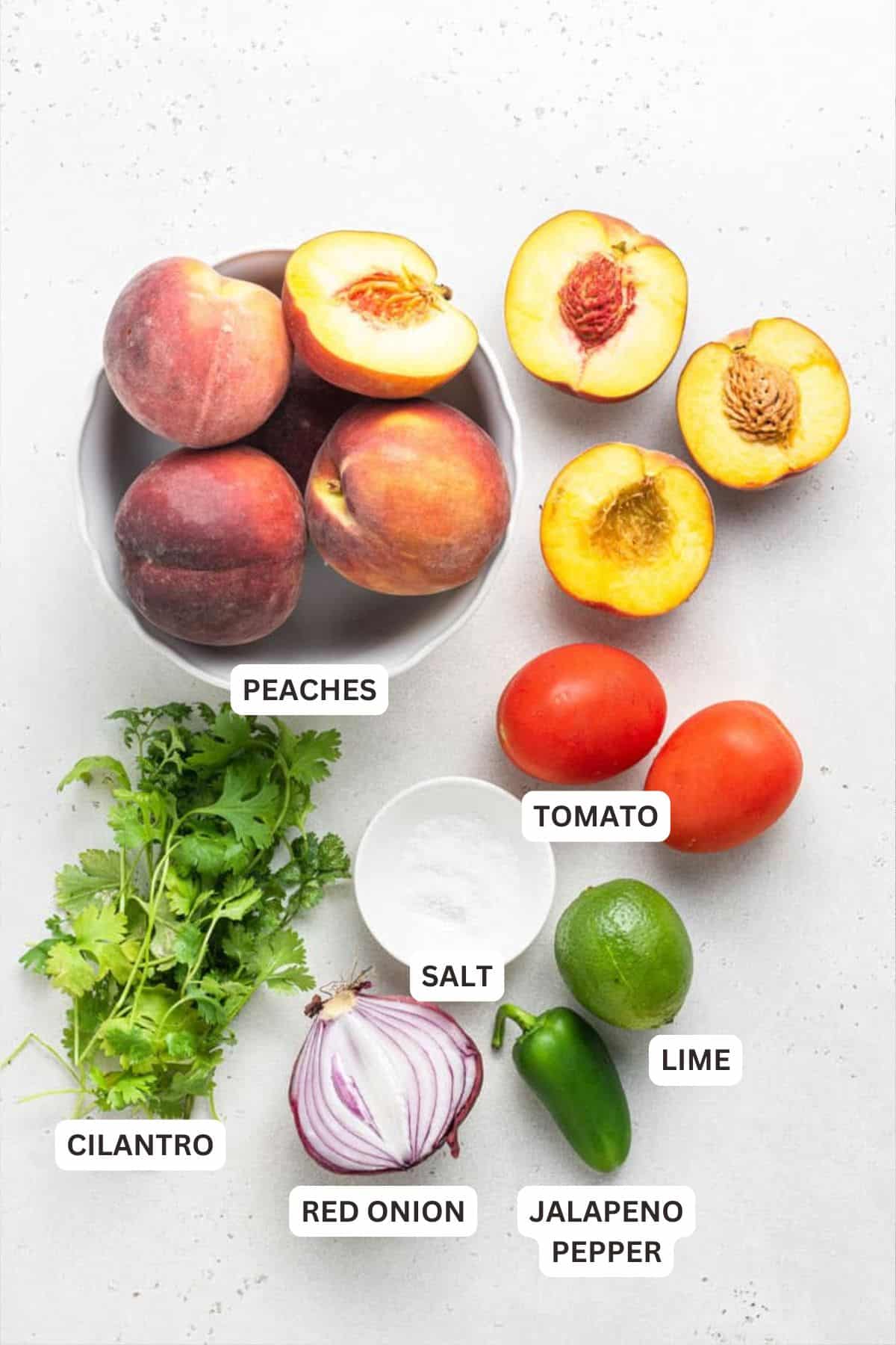 This refreshing Peach Salsa recipe is a sweet, savory and spicy homemade condiment you’ll love with fish, chips and more. Easy and delicious! Overhead view of ingredients for peach salsa recipe