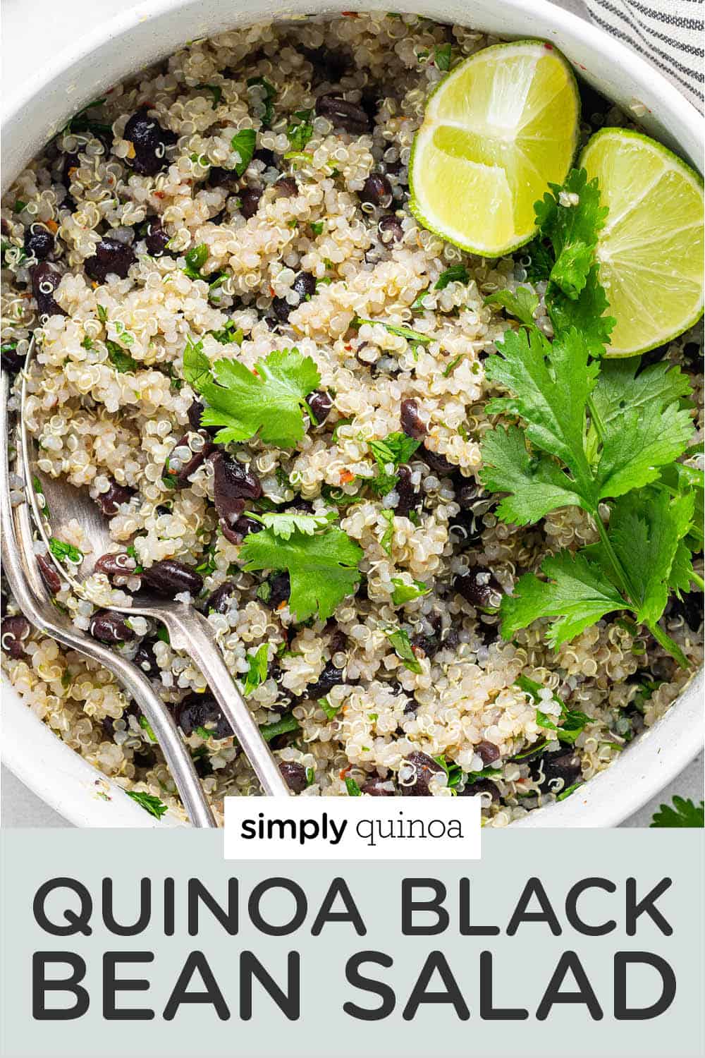 Quinoa Black Bean Salad with Cilantro and Lime (GF) Simply Quinoa