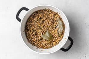 pot of cooked lentils and quinoa