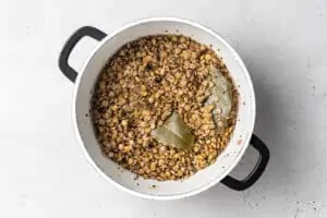 pot of cooked lentils and quinoa