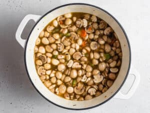pot with vegetables and broth for soup