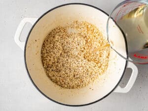 pouring broth into a pot of rice for risotto