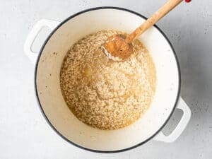 stirring rice and broth into a pot