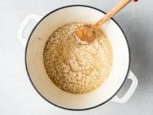 stirring rice and broth into a pot