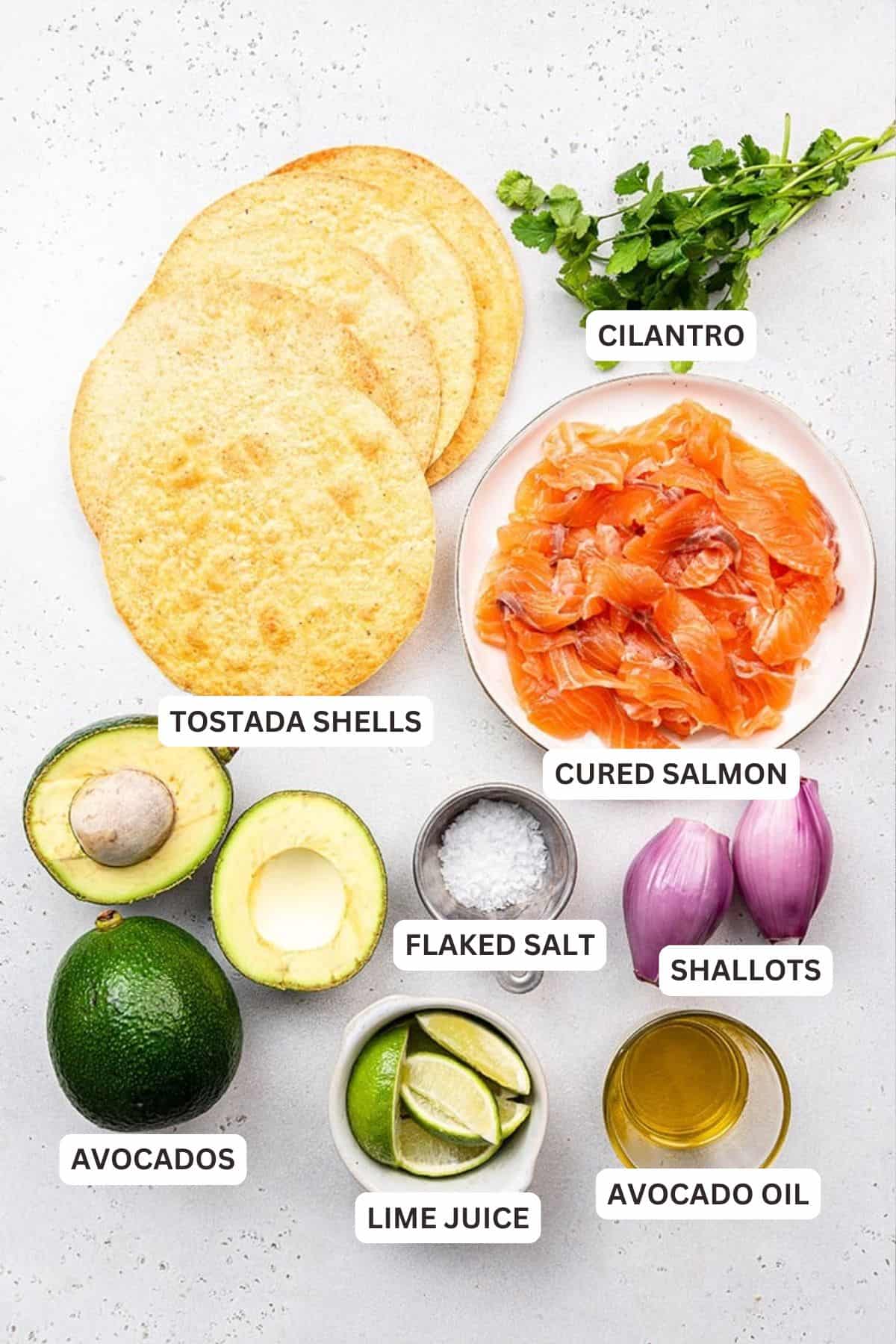 Ingredients for The Best Salmon Tostadas.