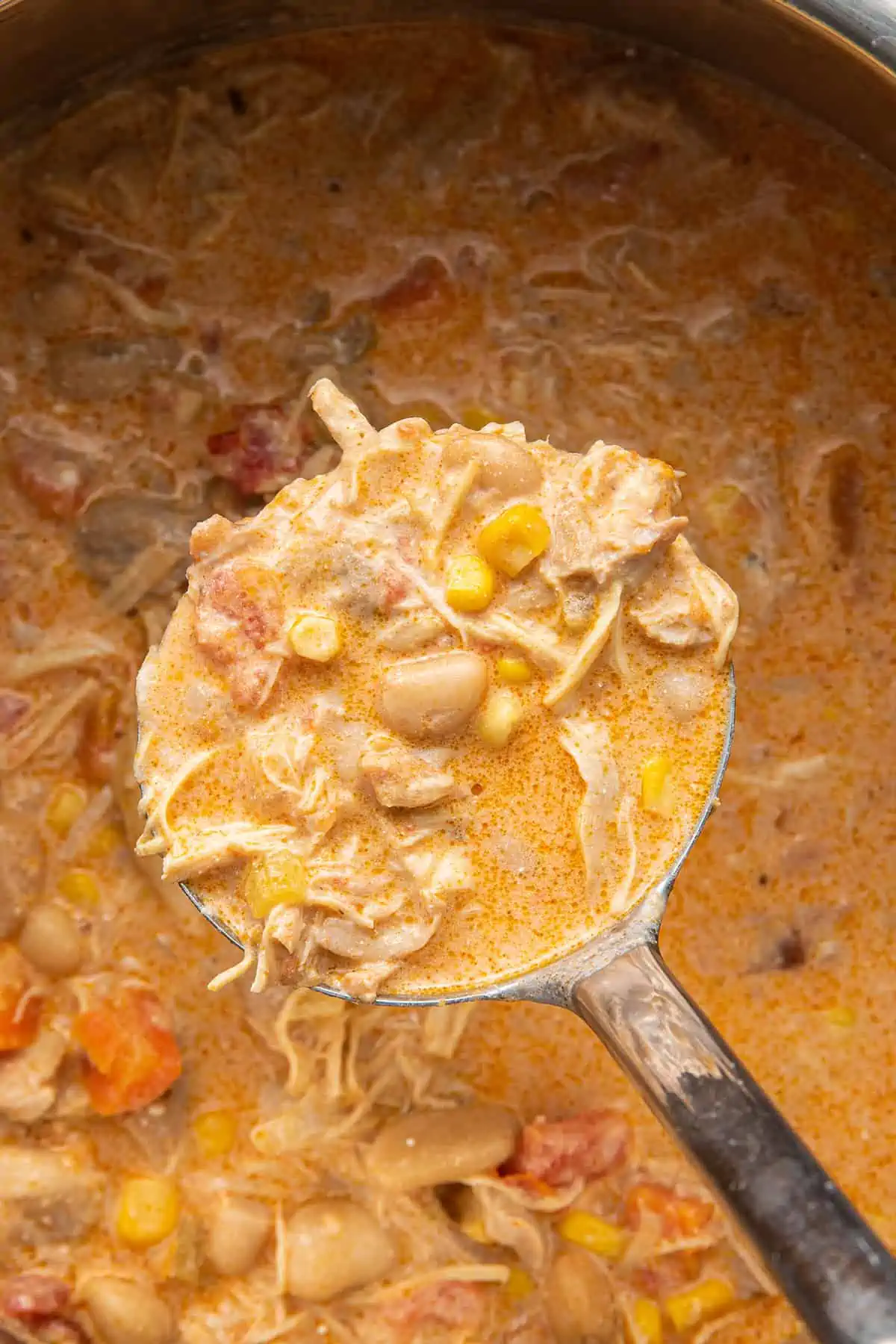 Close up of a spoon filled with white chicken chili