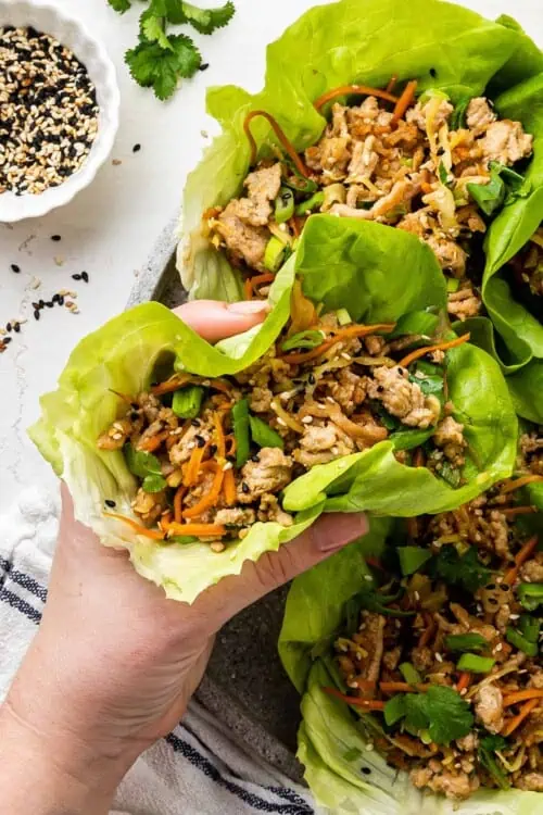 Close up of a hand holding a chicken lettuce wrap, with more wraps in the background, and sesame seeds and cilantro in the background