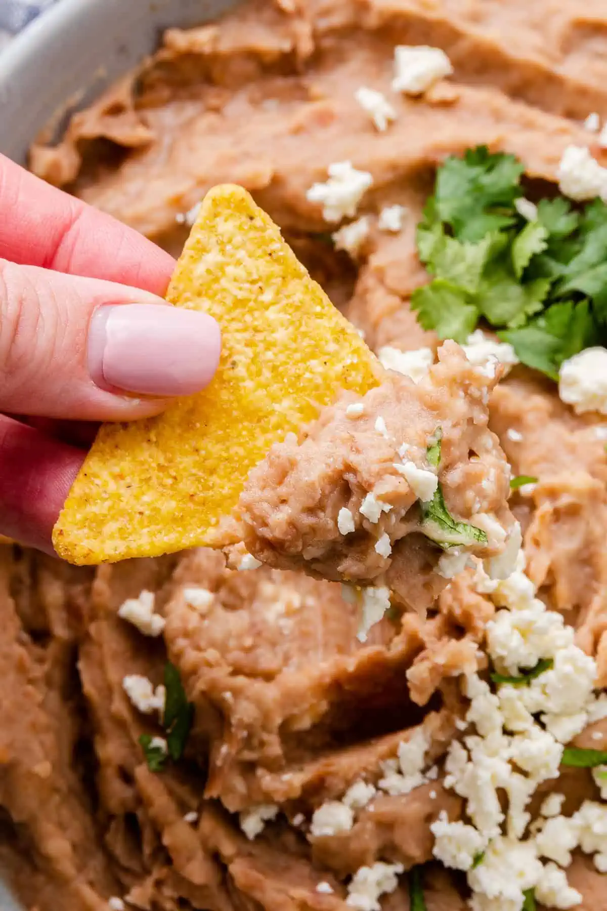 A hand dipping a chip into refried beans topped with cheese and cilantro