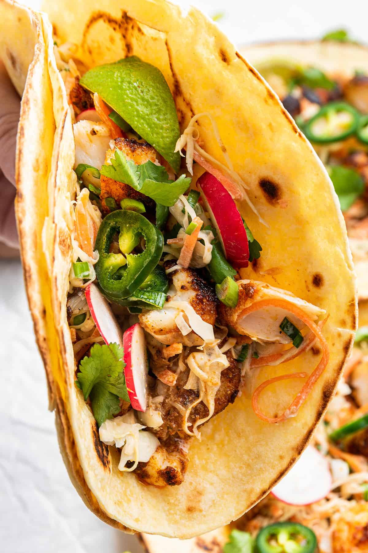 Close up of a fish taco folded up, topped with radishes and jalapeños