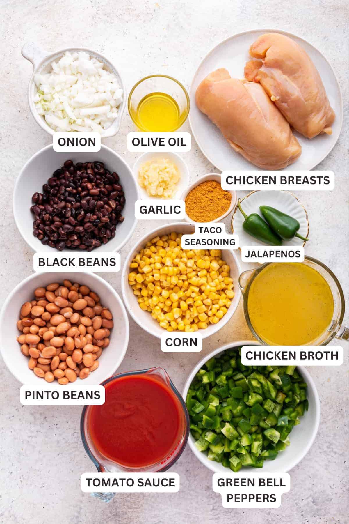 With shredded chicken, hearty beans, plenty of veggies, and bold Tex-Mex flavors, this slow cooker chicken taco soup is a guaranteed hit! Ingredients for Chicken Taco Soup.