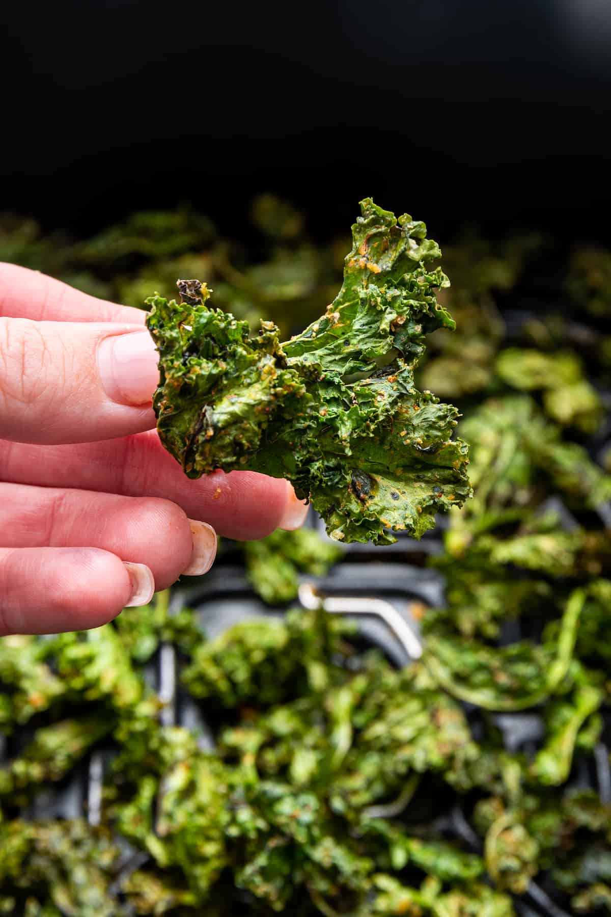 Hand holding crispy air fryer kale chip