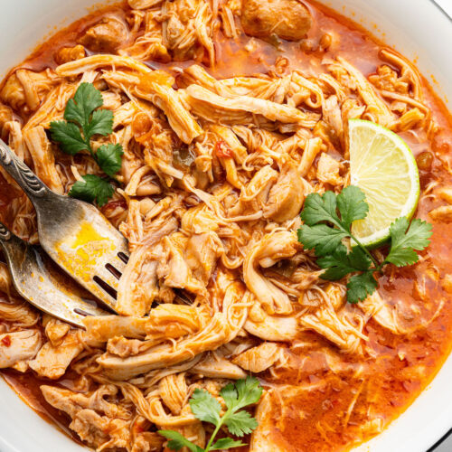 Salsa Chicken | Simply Quinoa