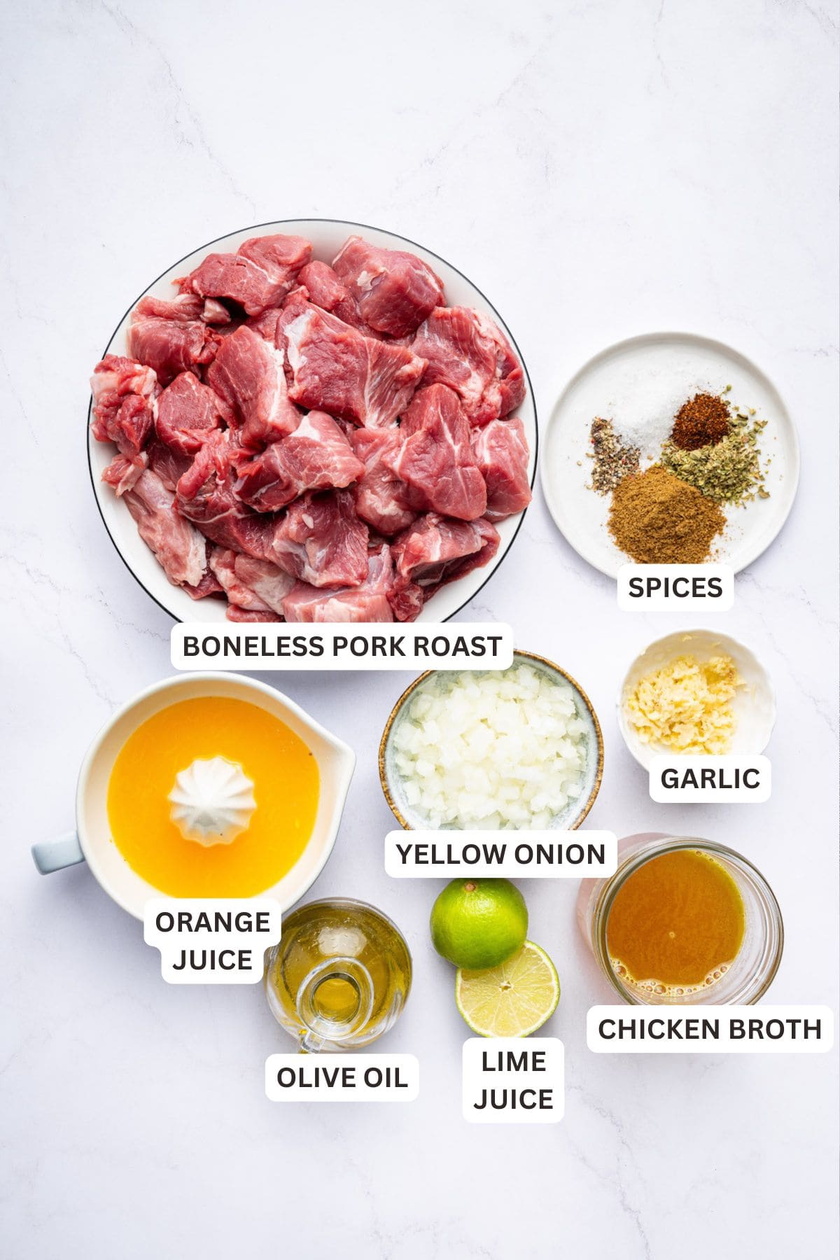 Overhead view of Instant Pot carnitas ingredients