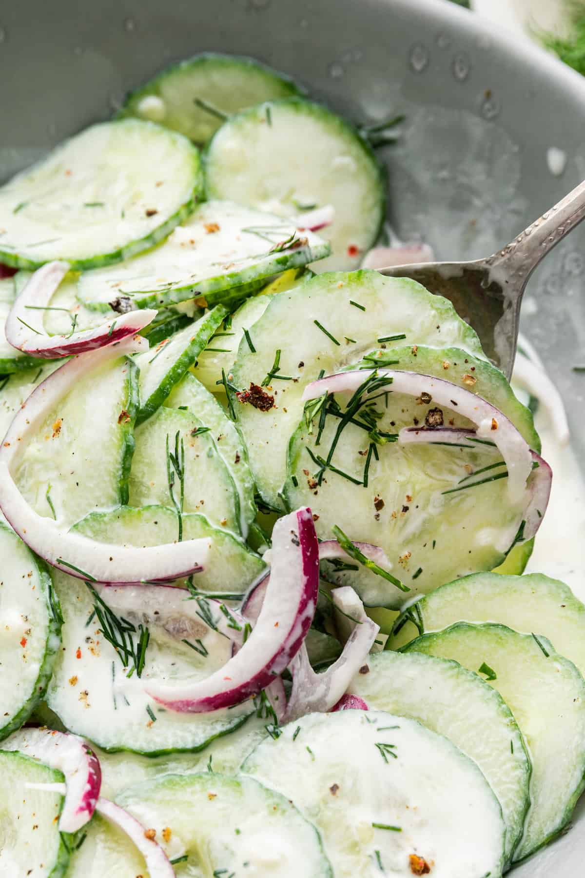 Spoon scooping creamy cucumber salad from bowl
